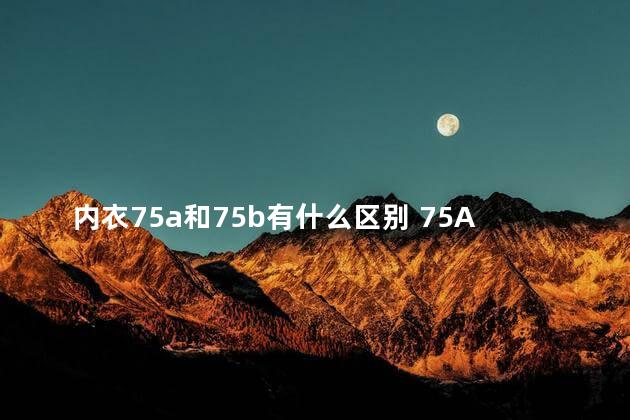 内衣75a和75b有什么区别 75A与80A哪个胸更大